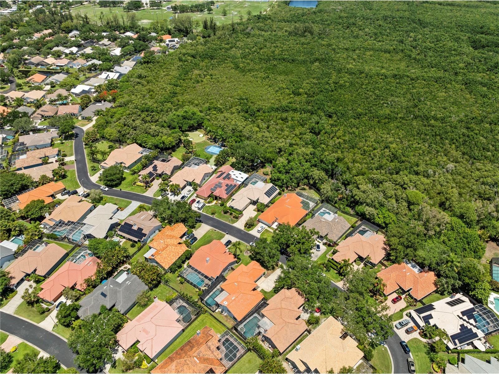 961 Live Oak Avenue NE Saint Petersburg FL 33703 TB8511032 image77