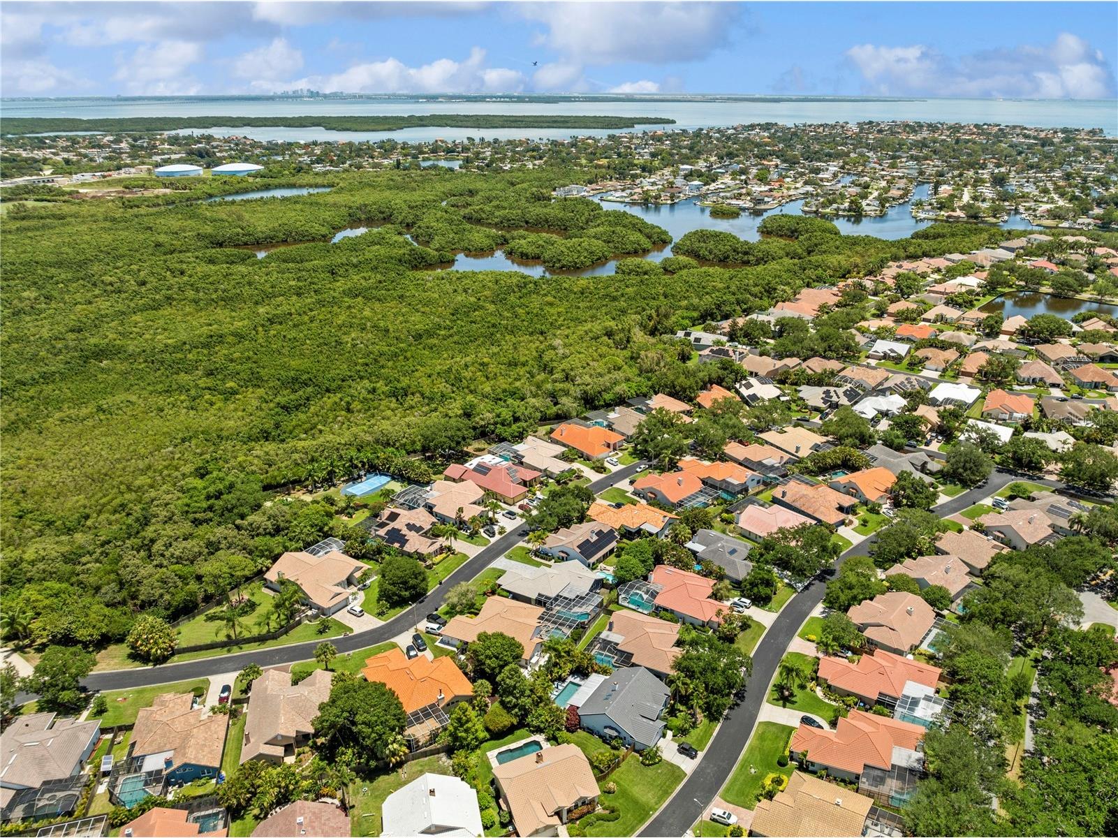 961 Live Oak Avenue NE Saint Petersburg FL 33703 TB8511032 image78