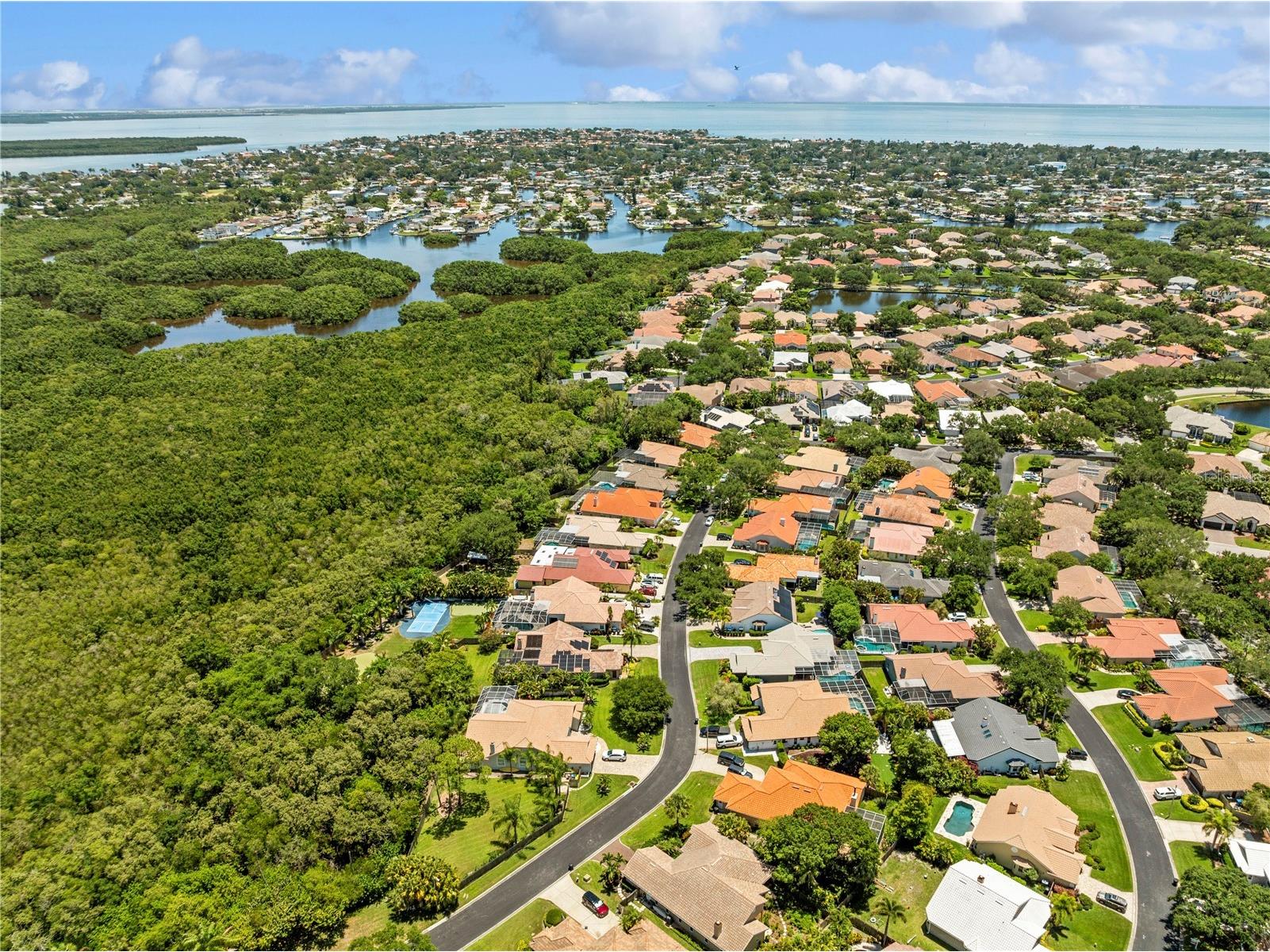 961 Live Oak Avenue NE Saint Petersburg FL 33703 TB8511032 image79