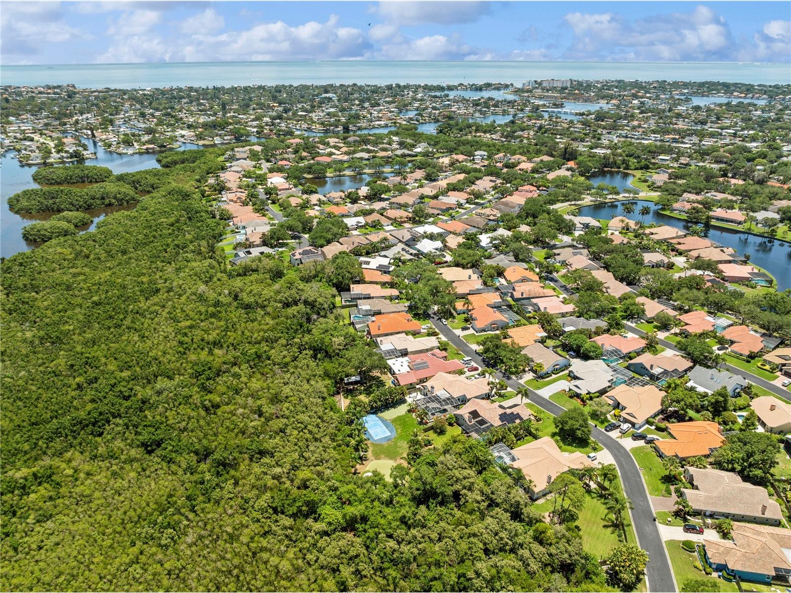 961 Live Oak Avenue NE Saint Petersburg FL 33703 TB8511032 image80
