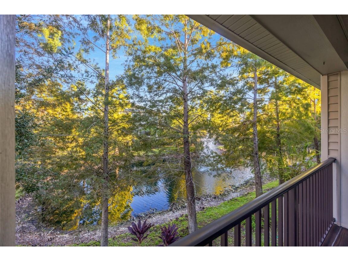 9610 Bay Grove Lane Tampa FL 33615 TB8444860 image41