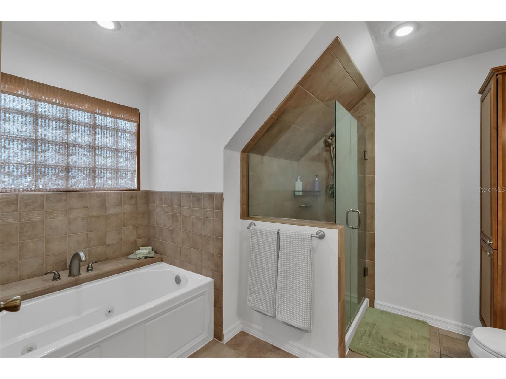 9610 Nellie Hills Court Clermont FL 34711 O6386189 image30