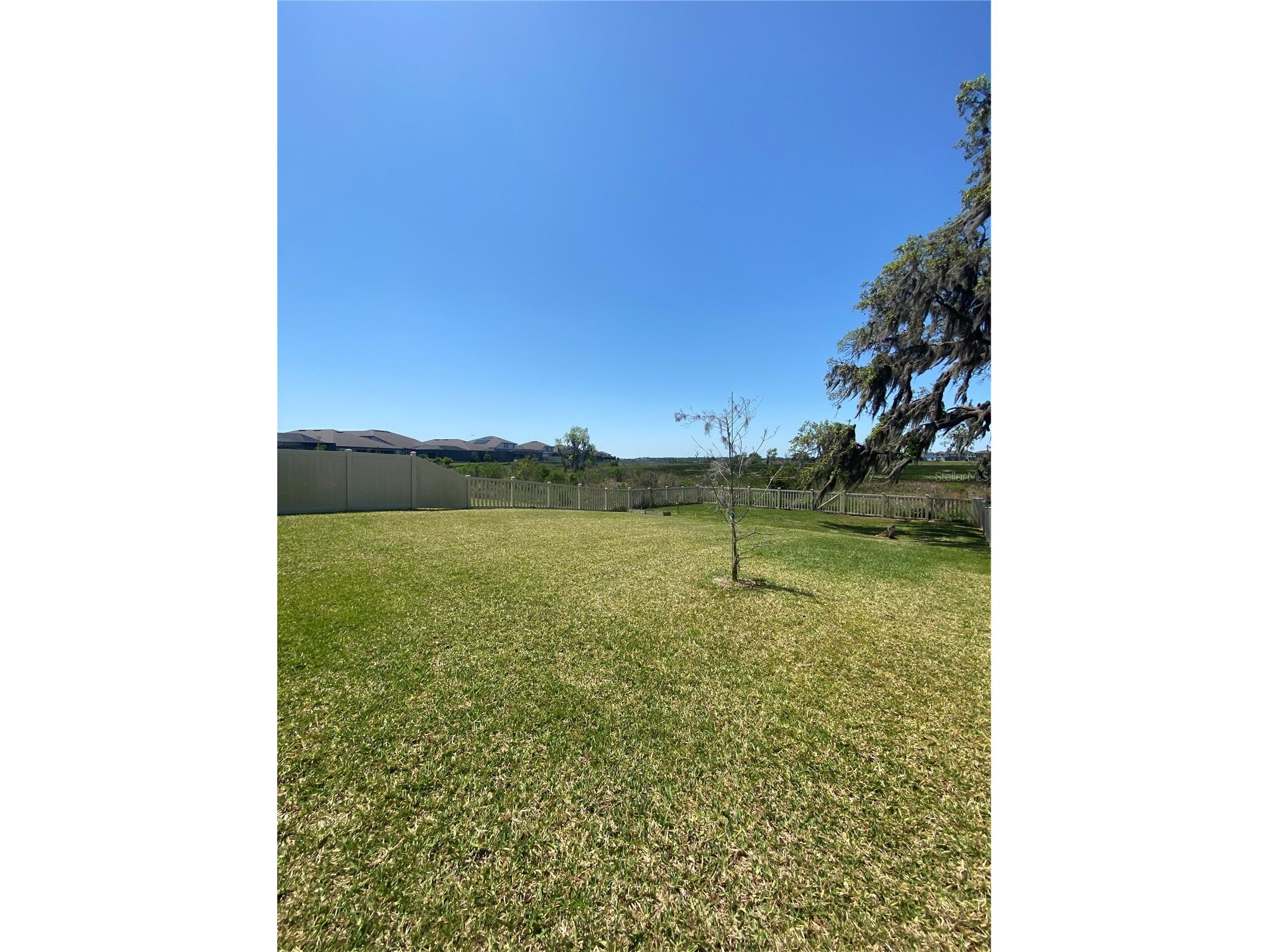 9610 Rally Spring Loop Wesley Chapel FL 33545 TB8510034 image24
