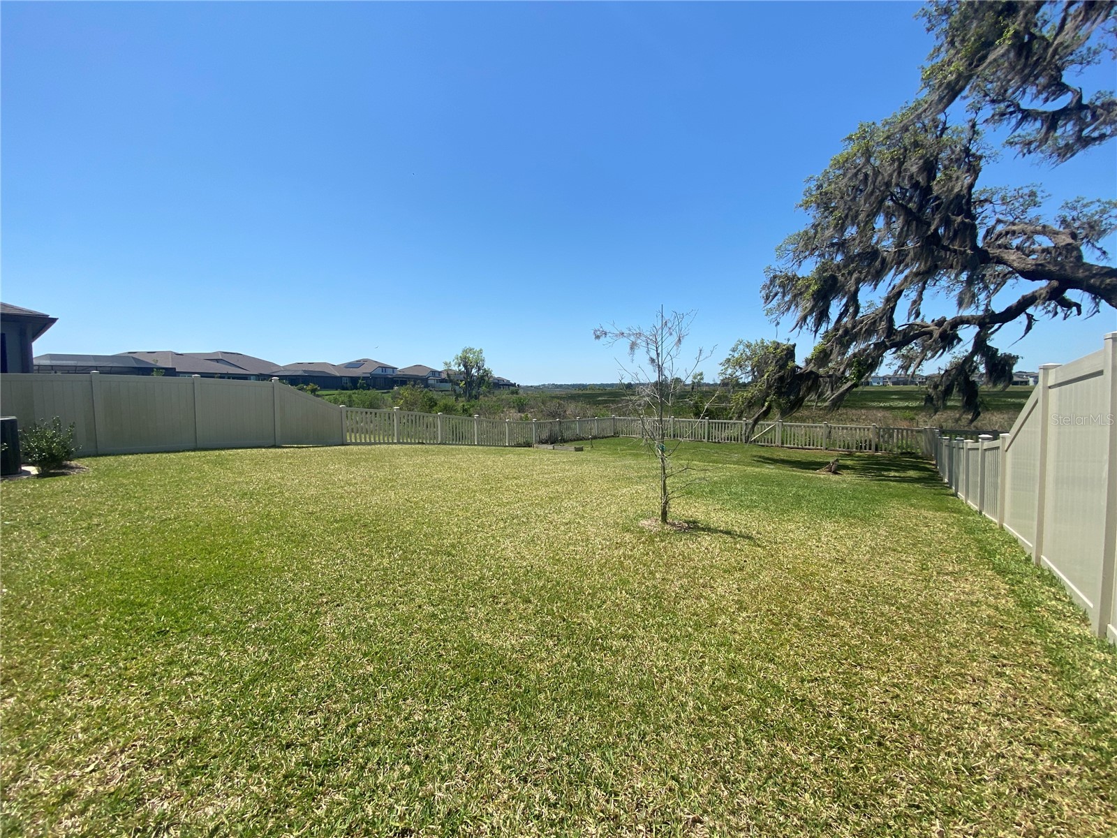 9610 Rally Spring Loop Wesley Chapel FL 33545 TB8510034 image25