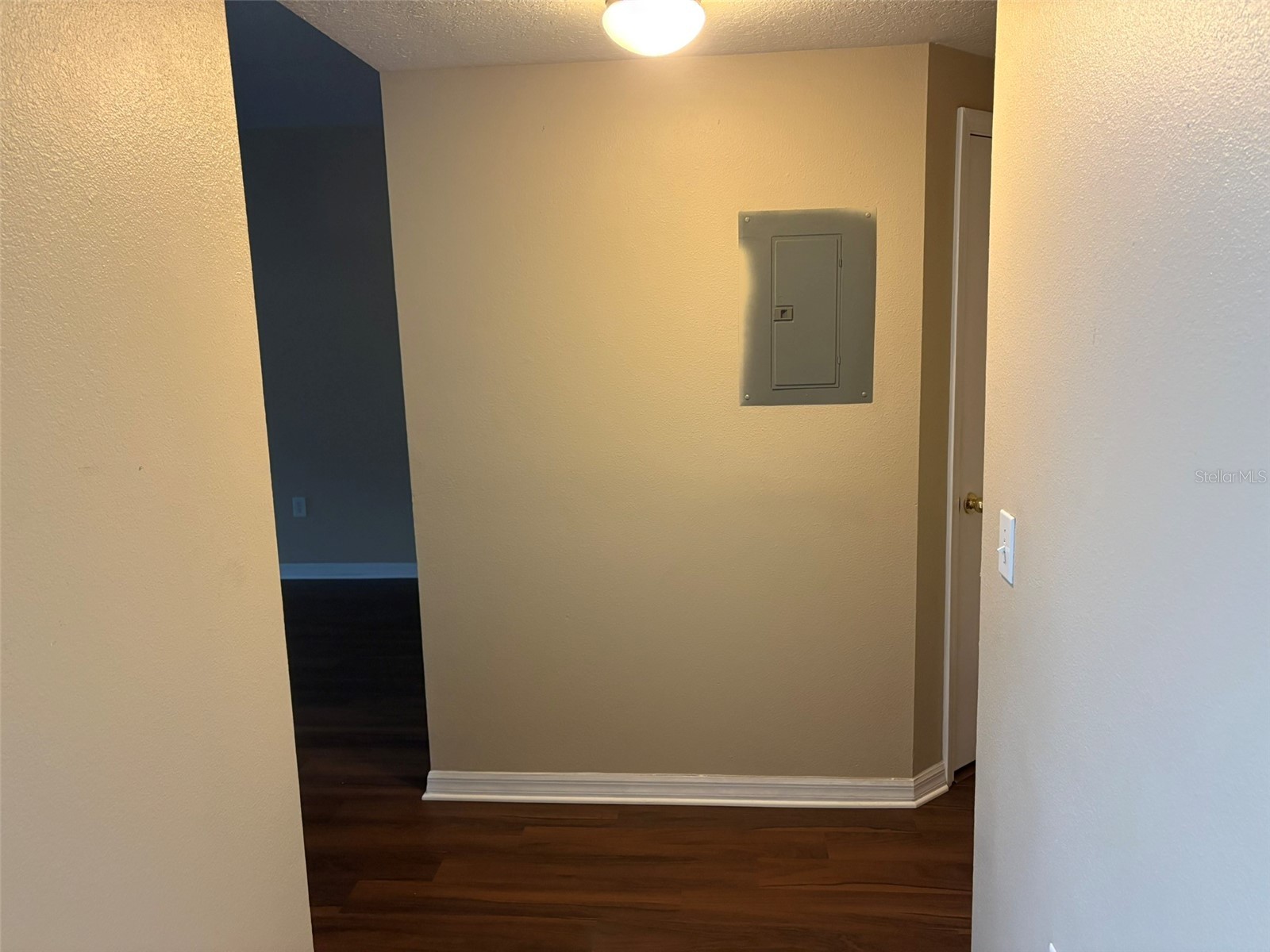 9610 Seadale Court #102 Riverview FL 33578 TB8489005 image2