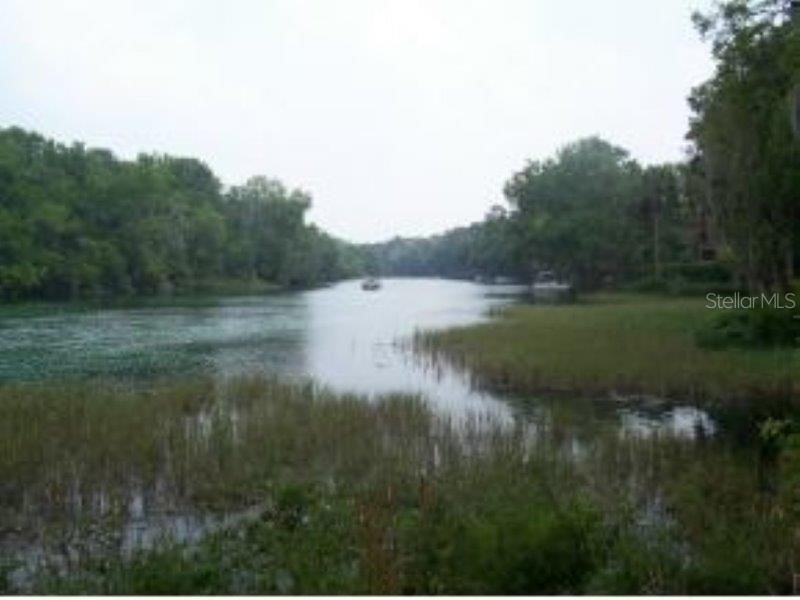 9610 SW 198th Circle Dunnellon FL 34432 - RAINBOW RIVER OM696454 image19