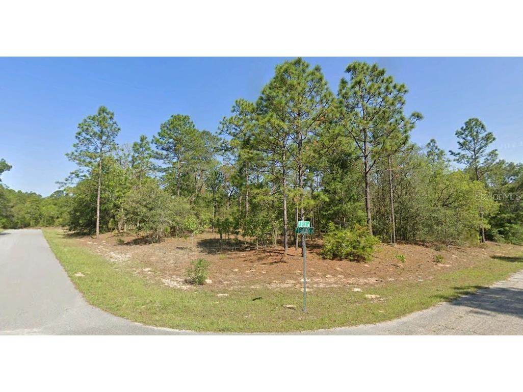 9611 N Dearing Loop Dunnellon FL 34434 O6238613 image1