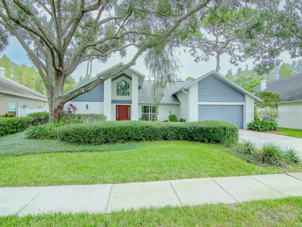 9611 Regents Park Drive Tampa FL 33647 T3482524 image1