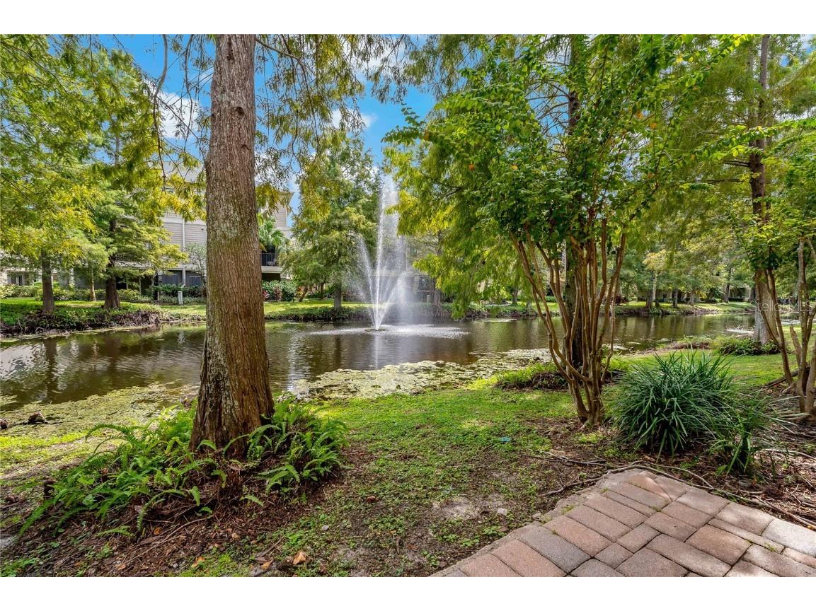 9612 Bay Grove Lane Tampa FL 33615 TB8429608 image51