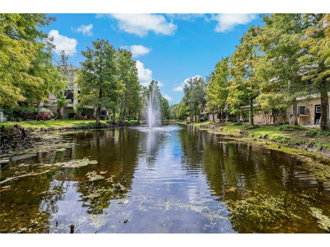 9612 Bay Grove Lane Tampa FL 33615 TB8429608 image54