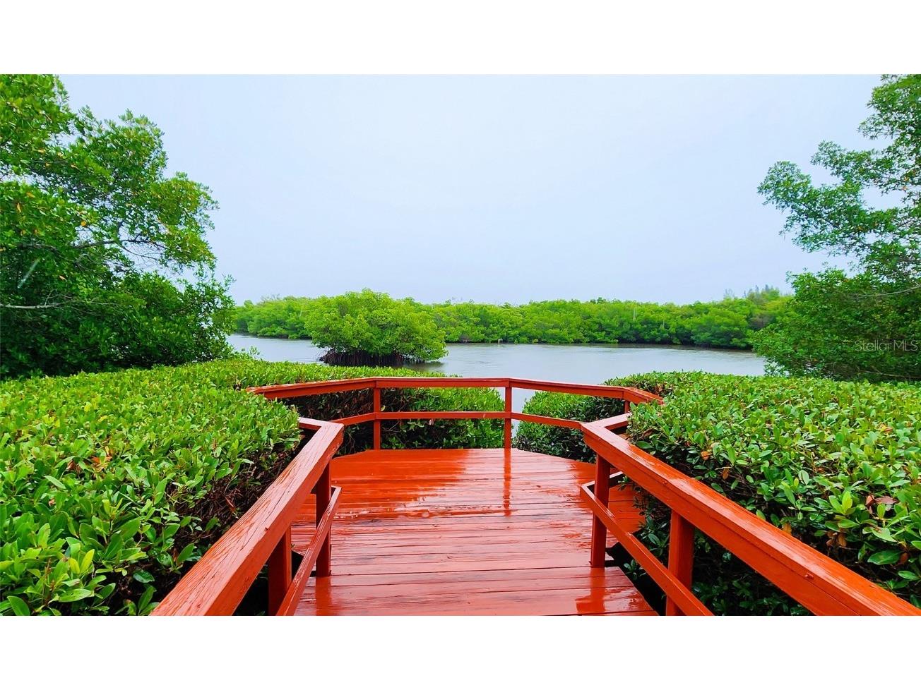 9612 Valencia Cove Bradenton FL 34210 A4625389 image45