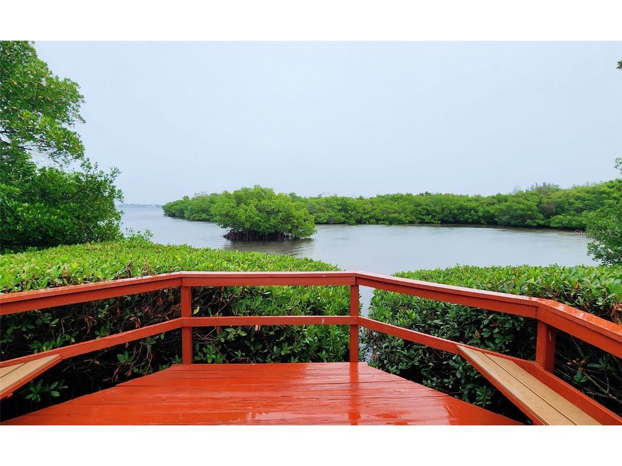 9612 Valencia Cove Bradenton FL 34210 A4625389 image46