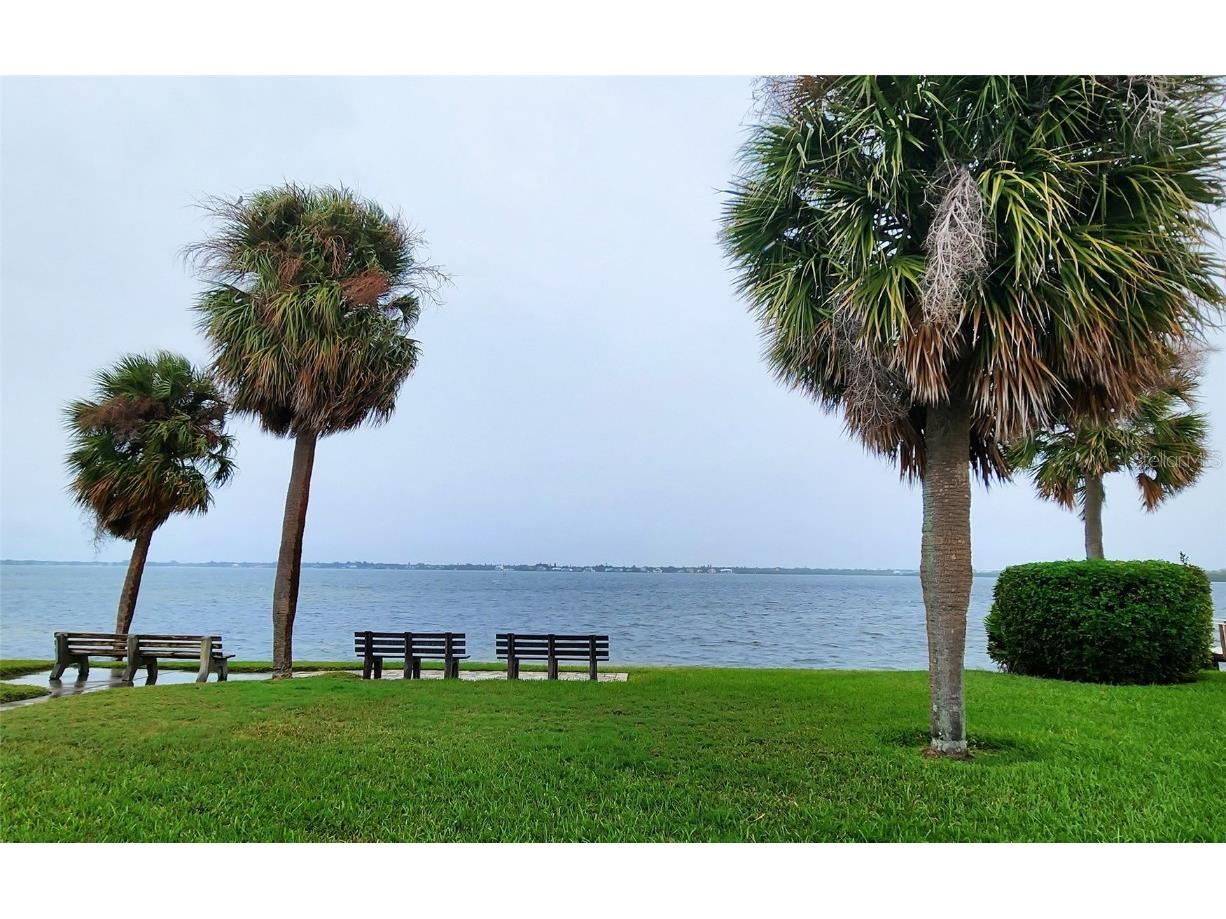 9612 Valencia Cove Bradenton FL 34210 A4625389 image47