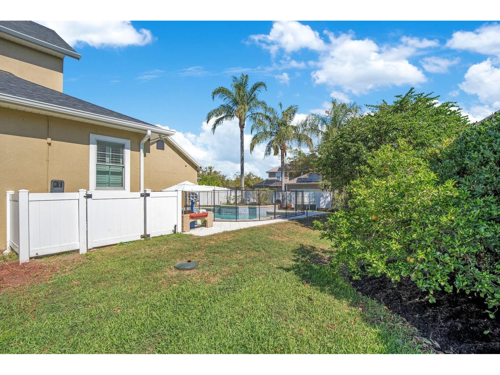 9613 Pine Lily Street Orlando FL 32827 O6389932 image42