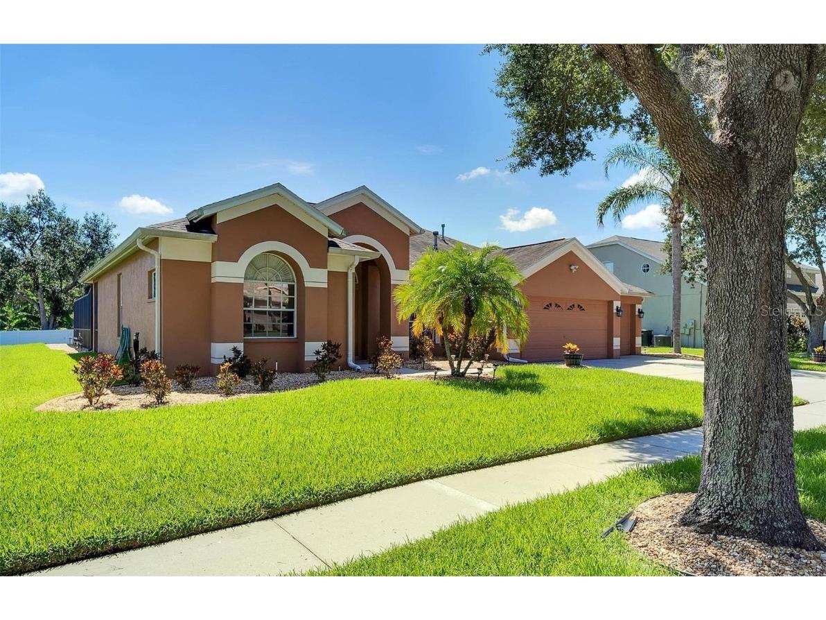 9614 Birnamwood Street Riverview FL 33569 T3460504 image1