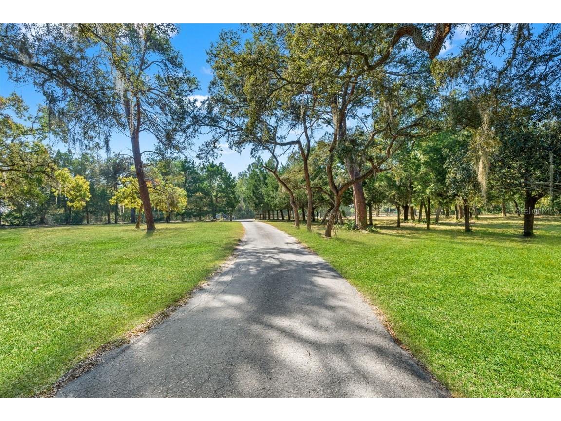 9615 Eden Avenue Hudson FL 34667 TB8449101 image4