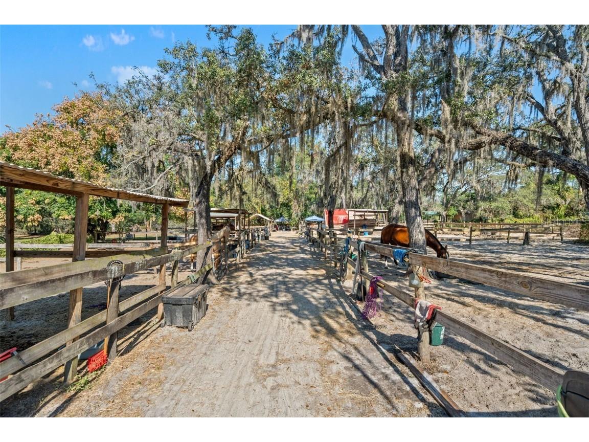 9615 Eden Avenue Hudson FL 34667 TB8449101 image50