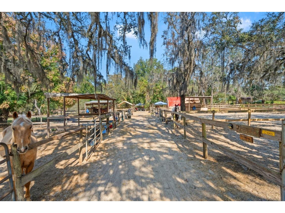 9615 Eden Avenue Hudson FL 34667 TB8449101 image51