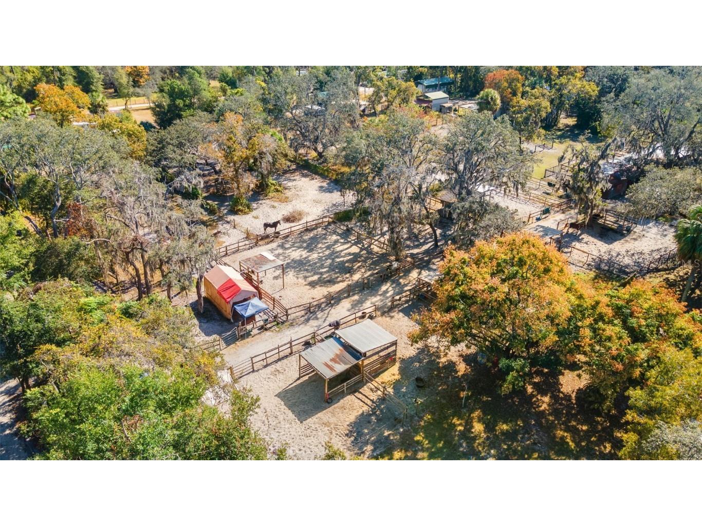 9615 Eden Avenue Hudson FL 34667 TB8449101 image64