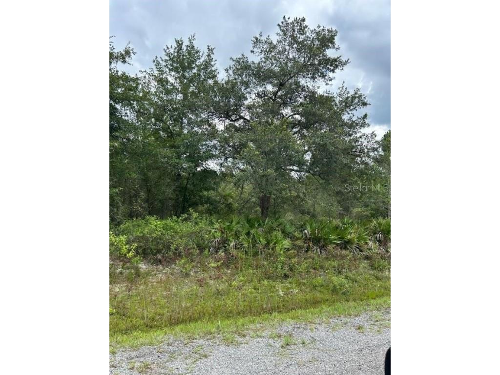 9615 Nikolich Avenue Hastings FL 32145 FC294764 image1