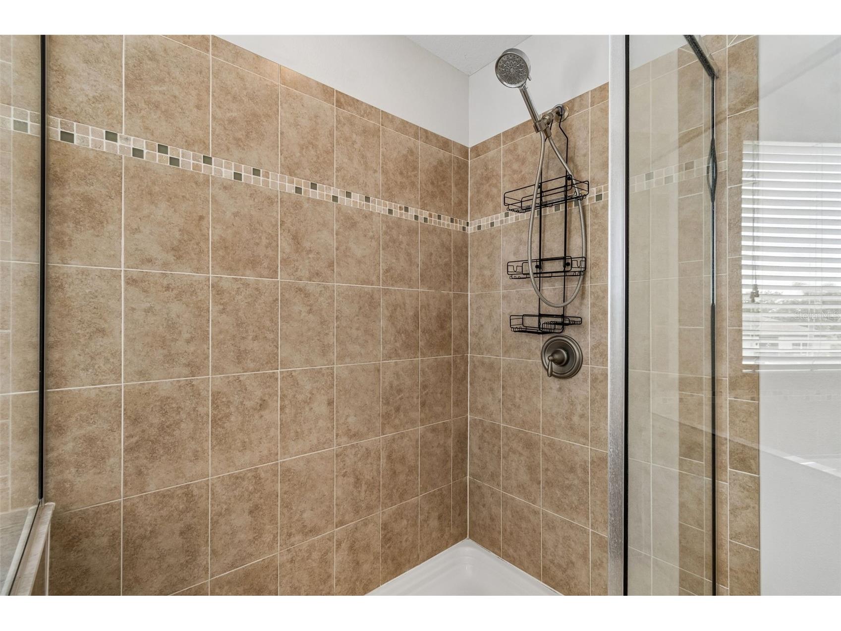 9615 Regiment Court Land O Lakes FL 34638 TB8526217 image41