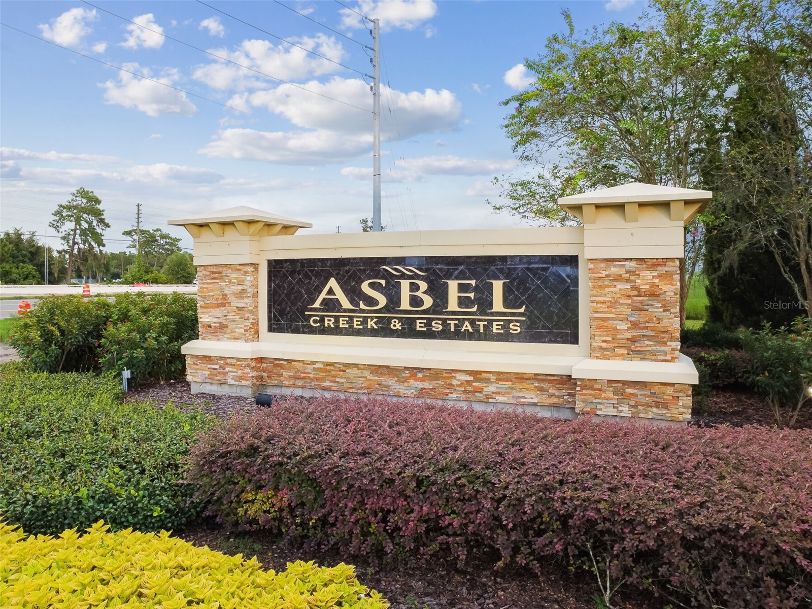 9615 Regiment Court Land O Lakes FL 34638 TB8526217 image74