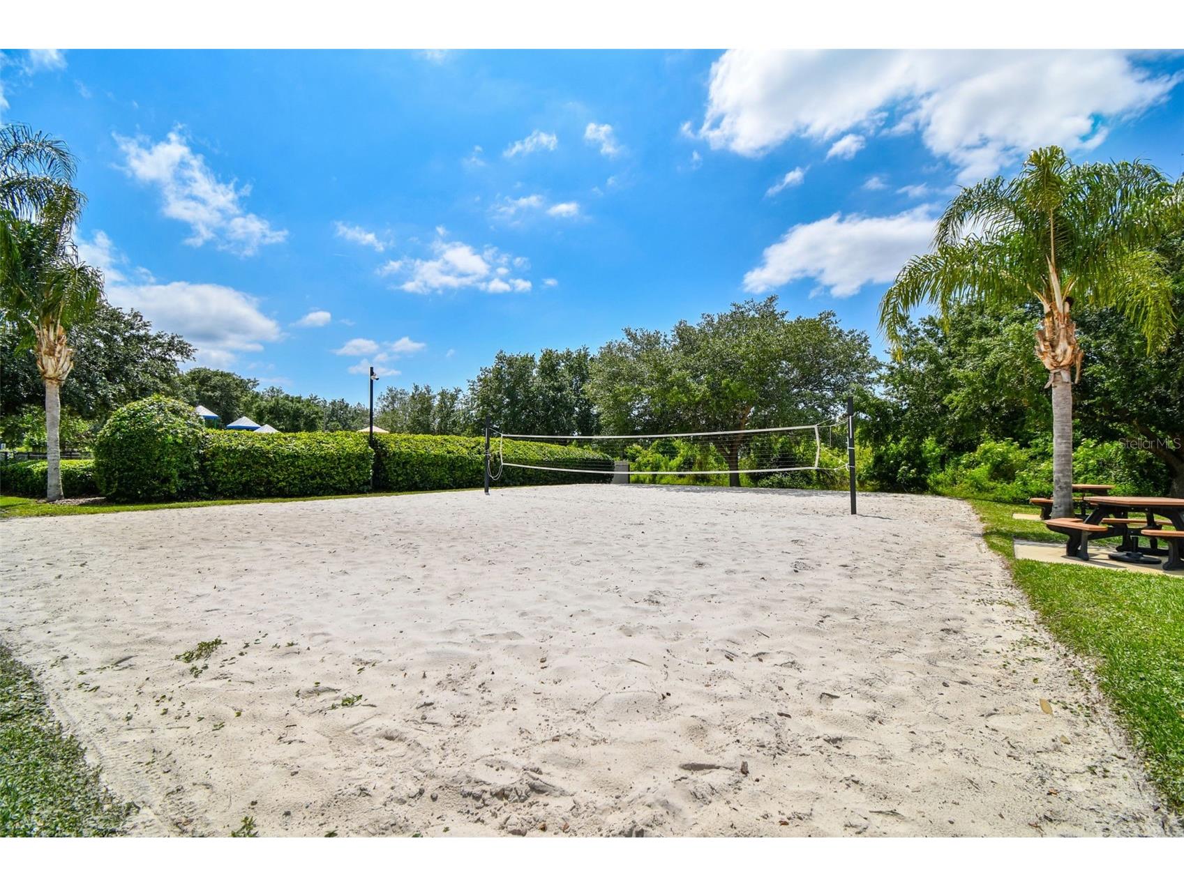 9615 Regiment Court Land O Lakes FL 34638 TB8526217 image82