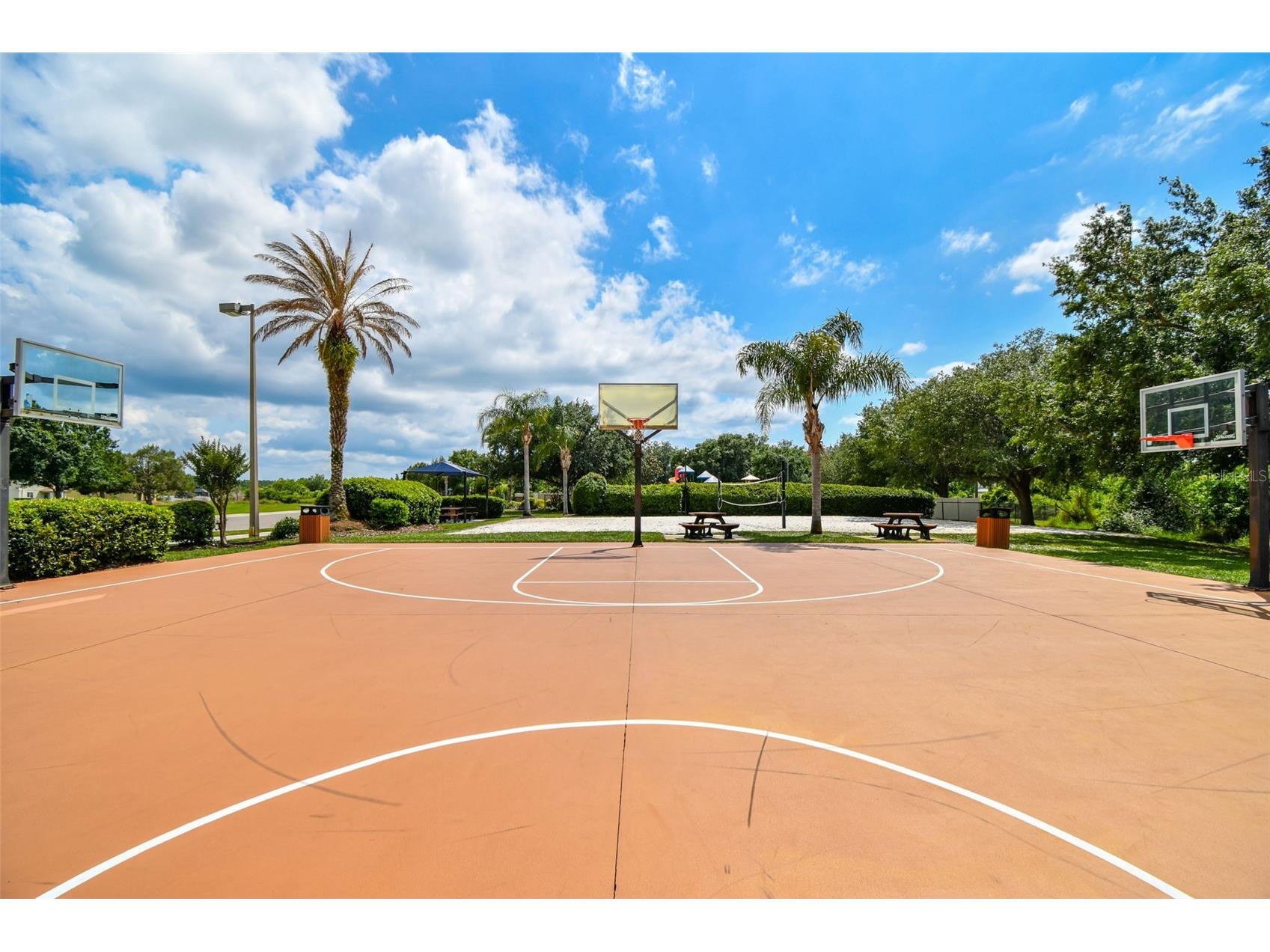 9615 Regiment Court Land O Lakes FL 34638 TB8526217 image83