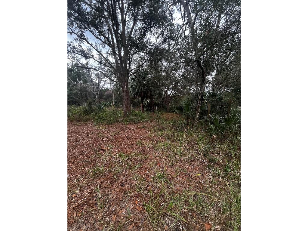 9615 SE 188th Terrace Ocklawaha FL 32179 G5077427 image1