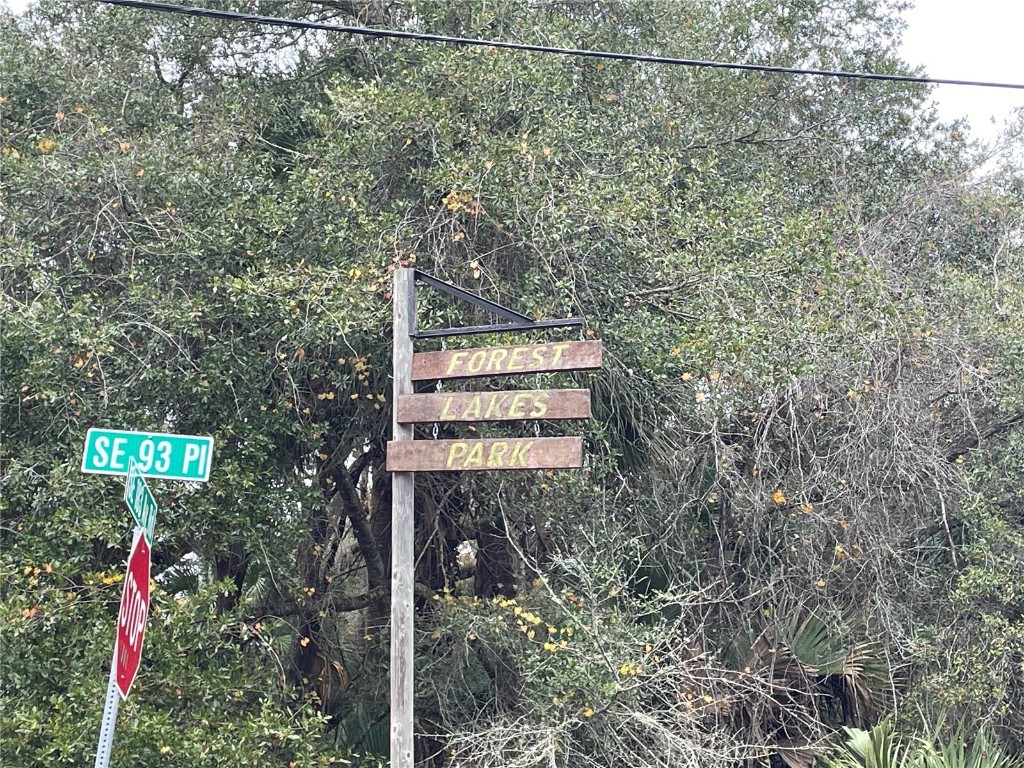 9615 SE 188th Terrace Ocklawaha FL 32179 OM650869 image1