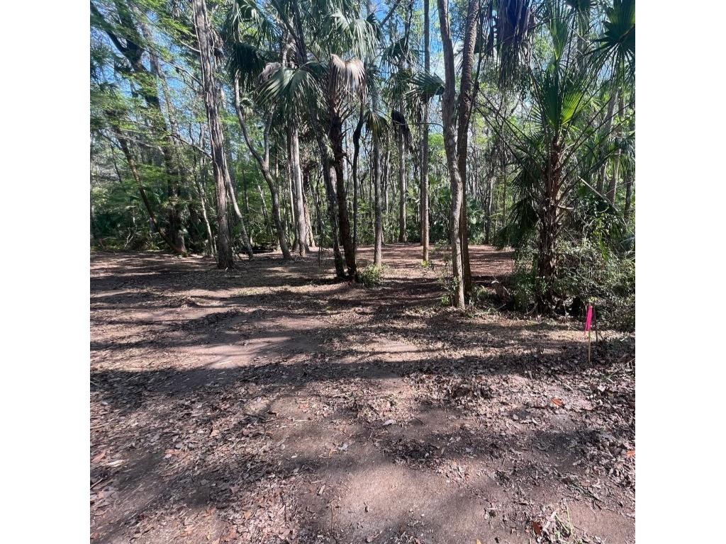 9615 W Fern Creek Trail Homosassa FL 34448 OM655236 image1