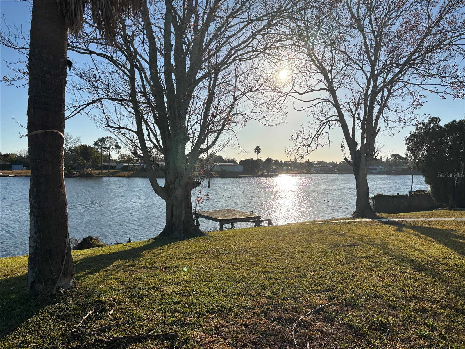 9616 Lake Christina Lane Port Richey FL 34668 - LAKE CHRISE W7882920 image17