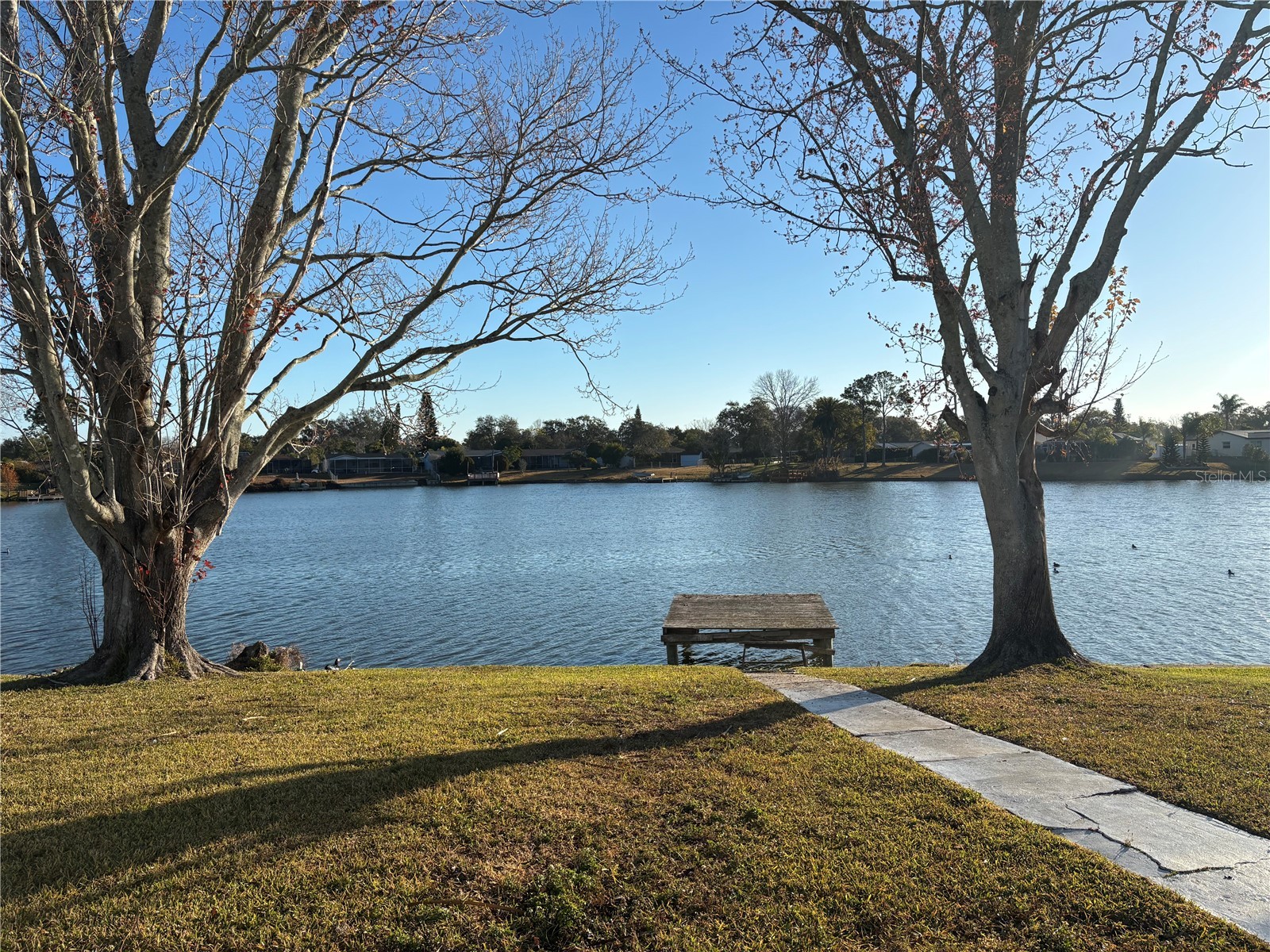 9616 Lake Christina Lane Port Richey FL 34668 - LAKE CHRISE W7882920 image18