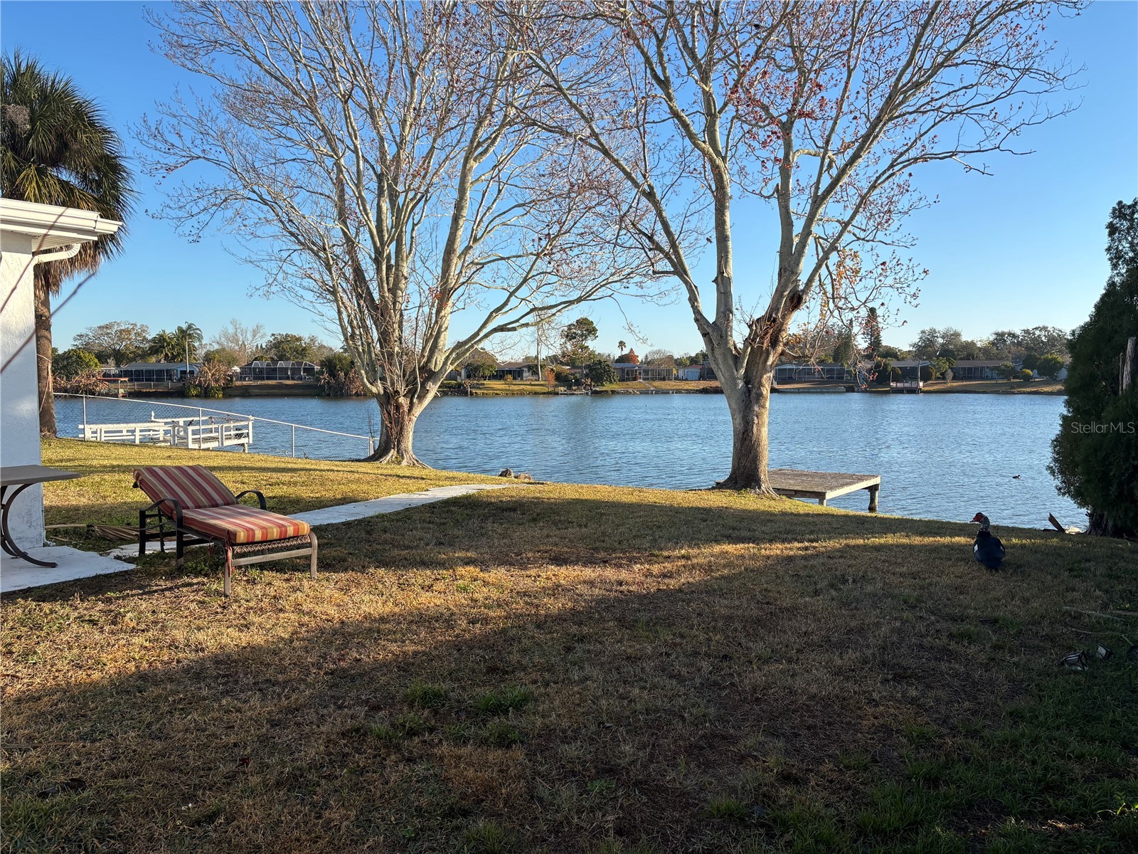 9616 Lake Christina Lane Port Richey FL 34668 - LAKE CHRISE W7882920 image19