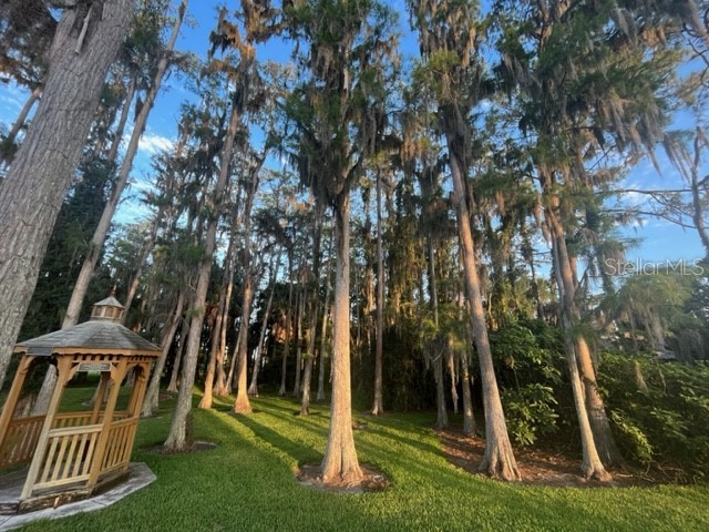 9616 Midiron Court New Port Richey FL 34655 W7886273 image32