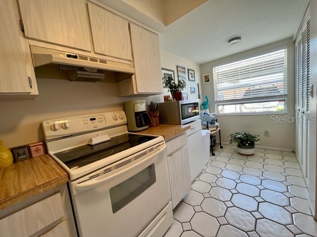 9616 Midiron Court New Port Richey FL 34655 W7886273 image5