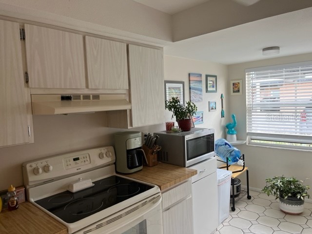 9616 Midiron Court New Port Richey FL 34655 W7886273 image8