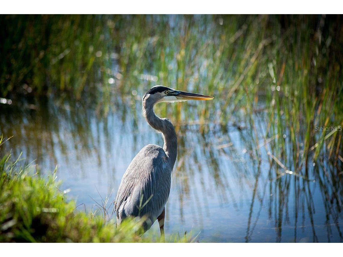 9616 Turning Leaf Terrace Bradenton FL 34212 - MANATEE RIVER A4675060 image51