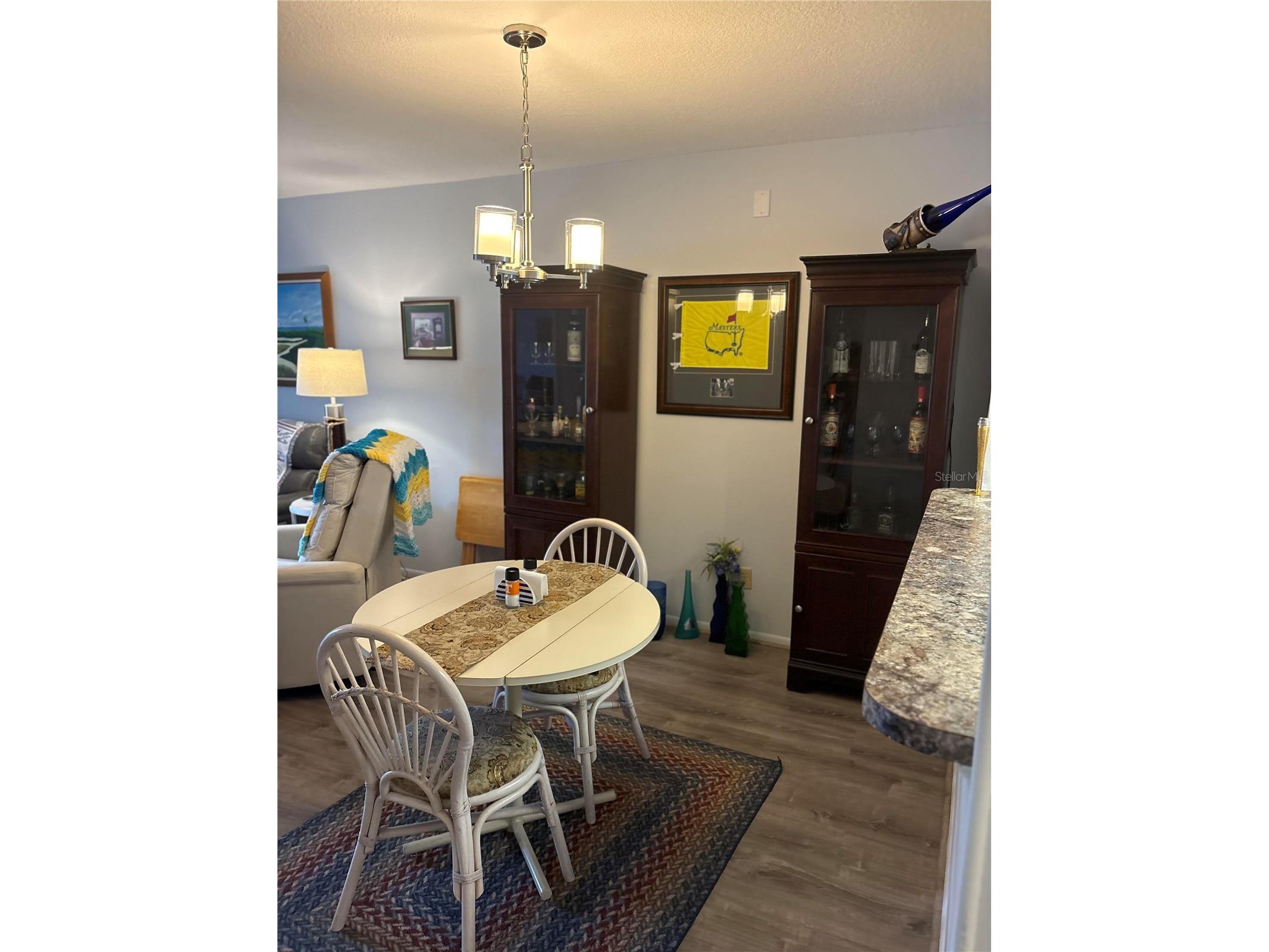 9617 Brassie Court New Port Richey FL 34655 TB8481324 image14