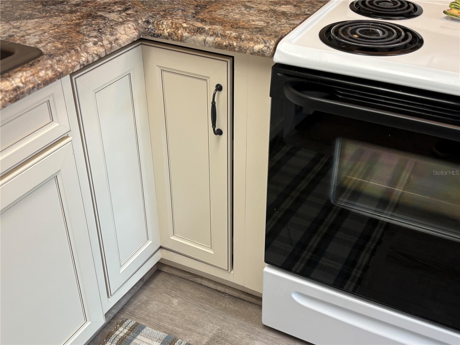 9617 Brassie Court New Port Richey FL 34655 TB8481324 image4