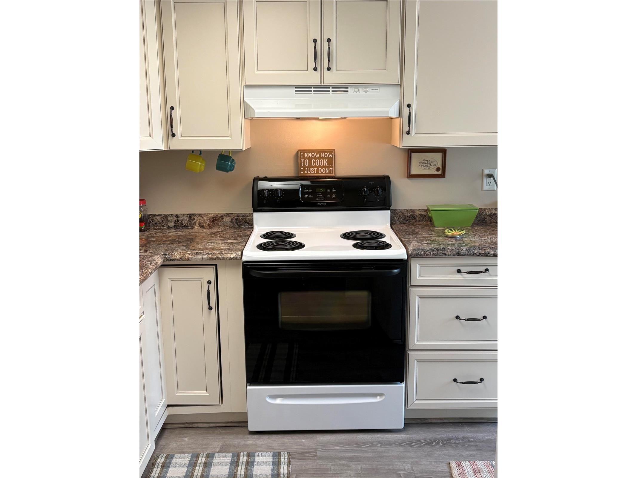 9617 Brassie Court New Port Richey FL 34655 TB8481324 image5