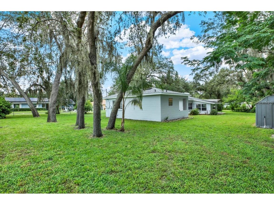 9618 N Hartts Drive Tampa FL 33617 TB8419273 image29