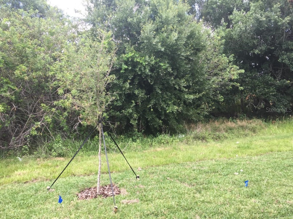 9618 Pembrooke Pines Drive Sun City Center FL 33573 TB8447831 image31