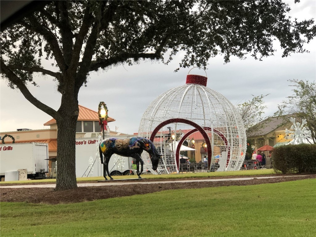 9618 SW 86th Place Ocala FL 34481 OM713025 image79