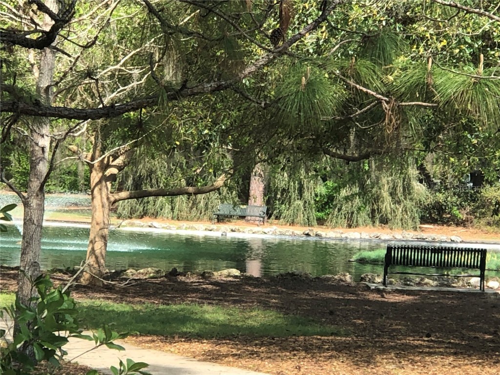 9618 SW 86th Place Ocala FL 34481 OM713025 image84