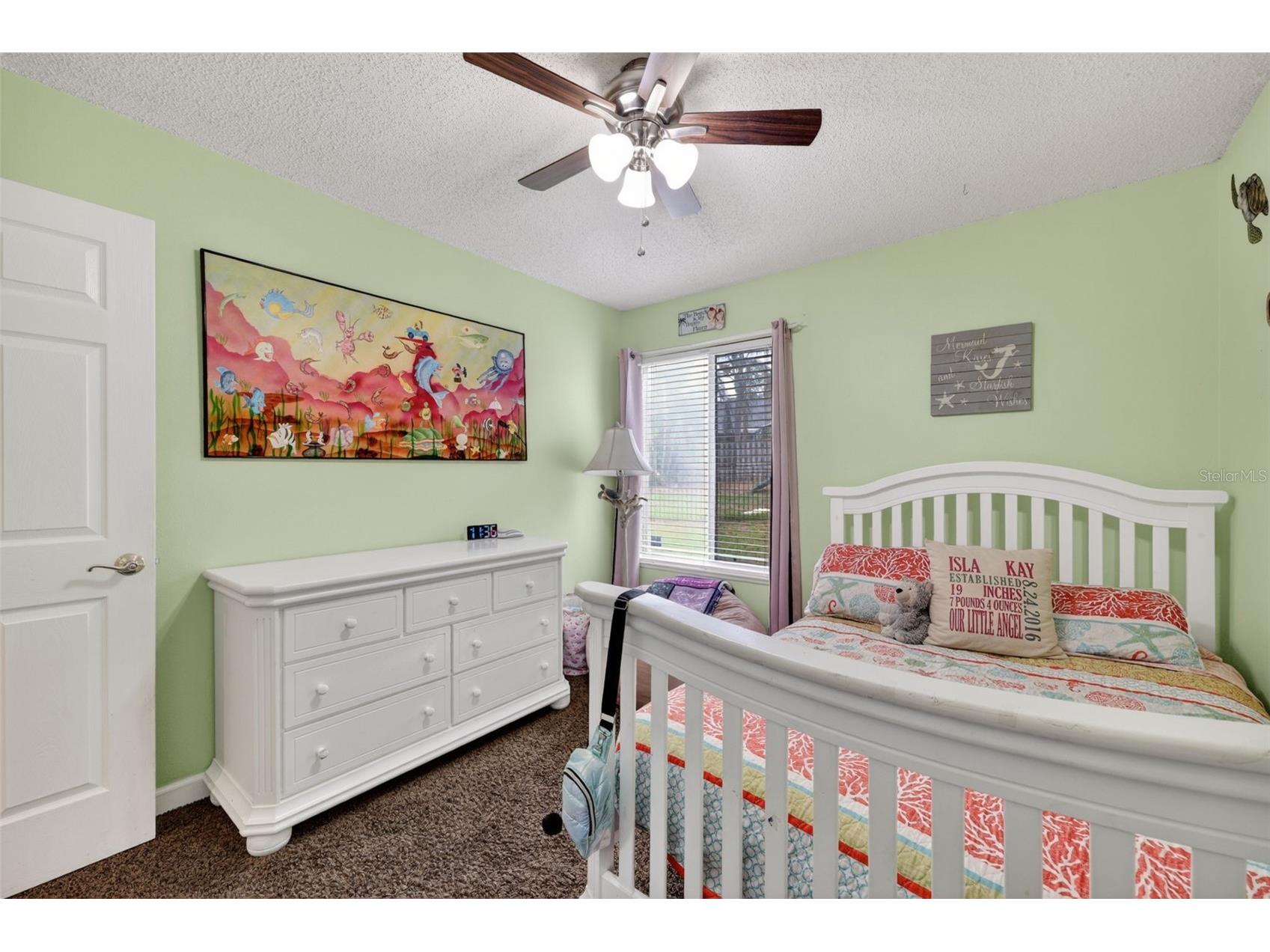 962 Edgehill Drive Palm Harbor FL 34684 TB8507849 image26