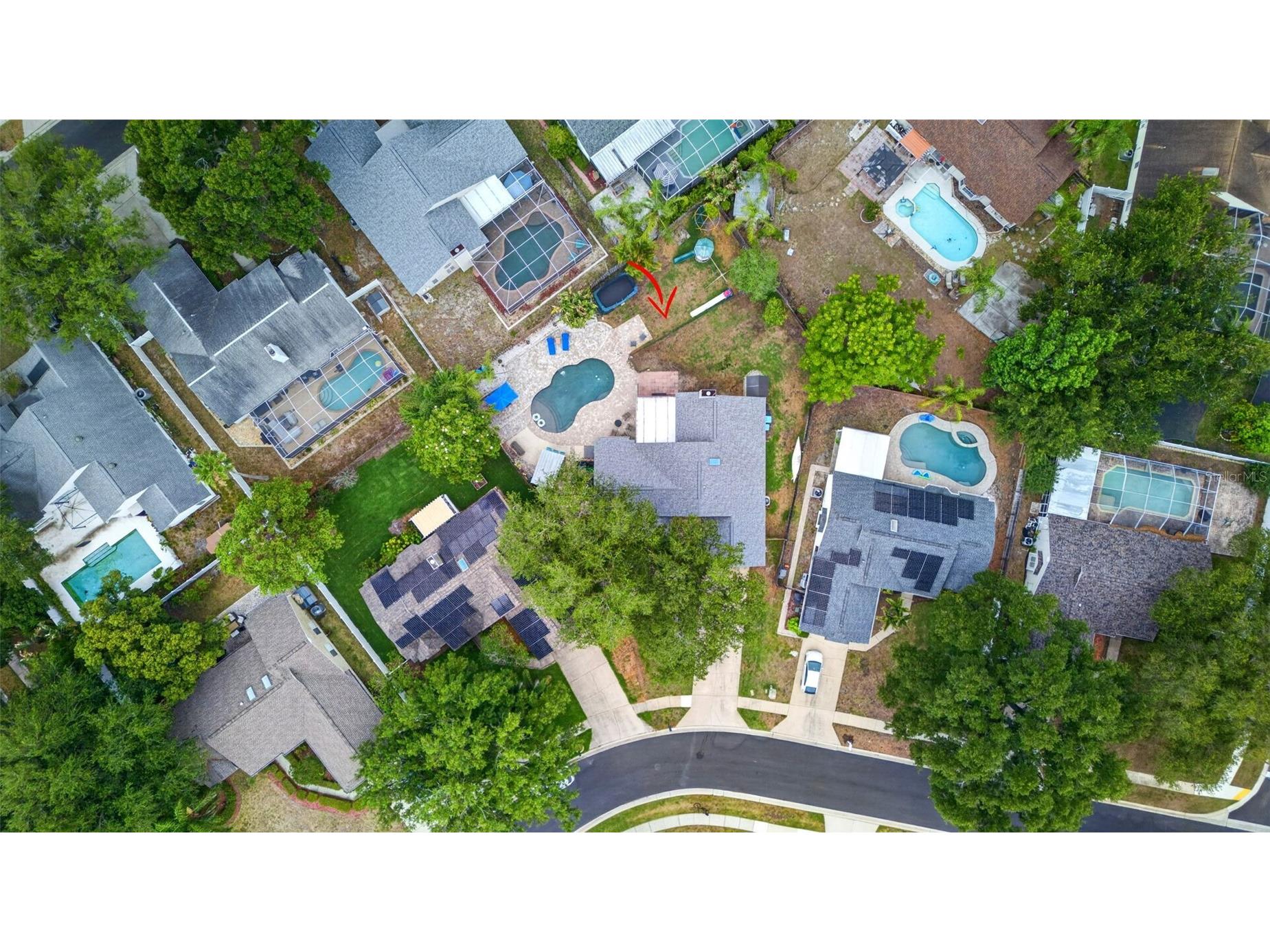 962 Edgehill Drive Palm Harbor FL 34684 TB8507849 image40