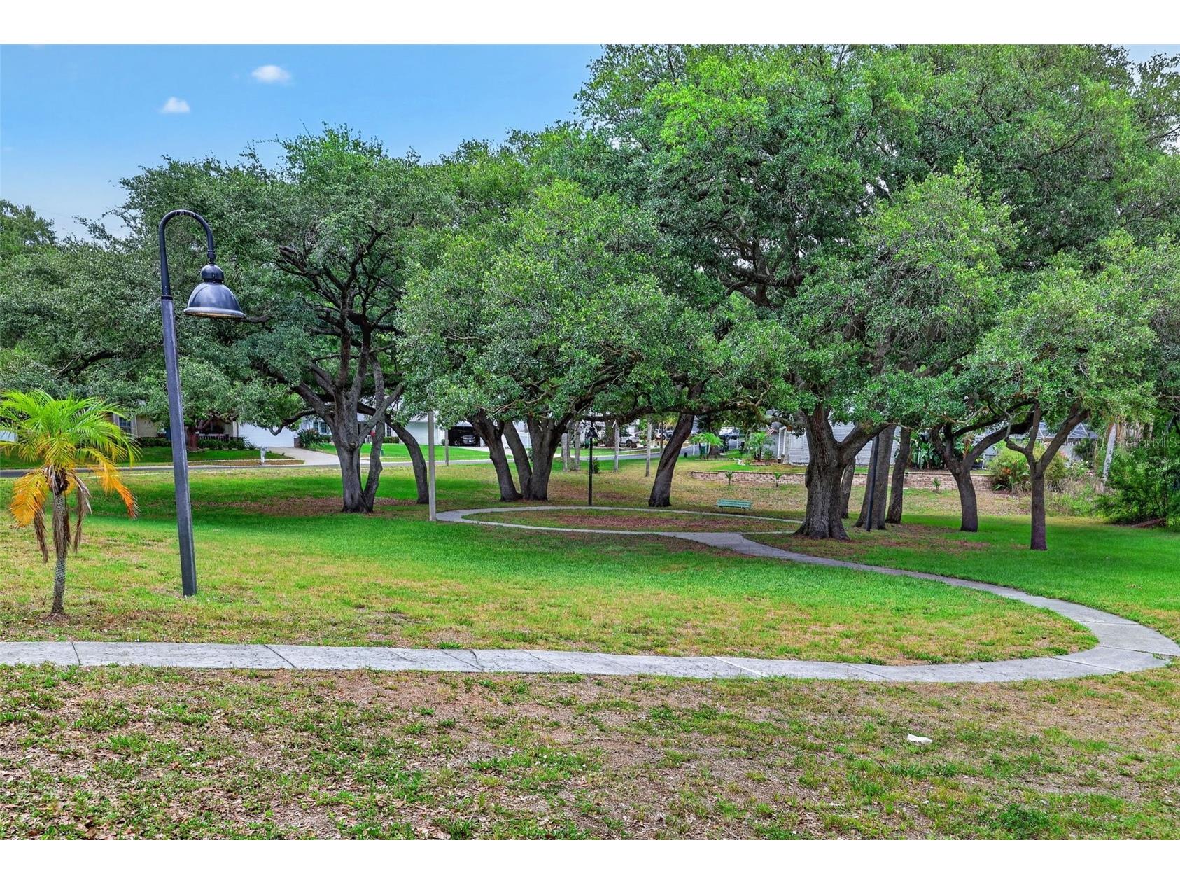 962 Edgehill Drive Palm Harbor FL 34684 TB8507849 image41