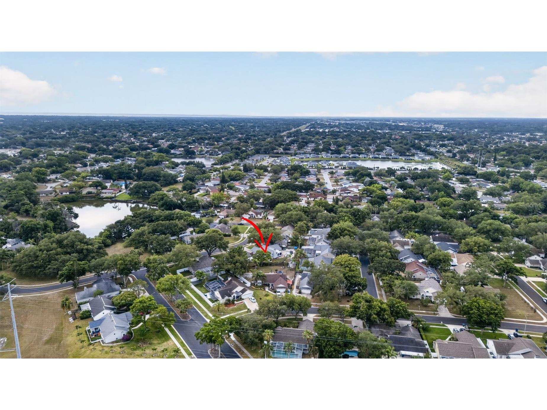 962 Edgehill Drive Palm Harbor FL 34684 TB8507849 image43