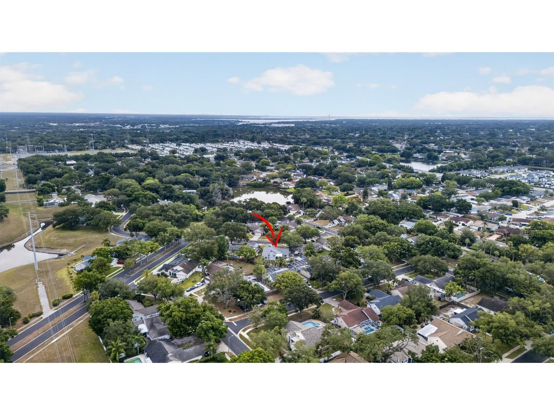 962 Edgehill Drive Palm Harbor FL 34684 TB8507849 image44